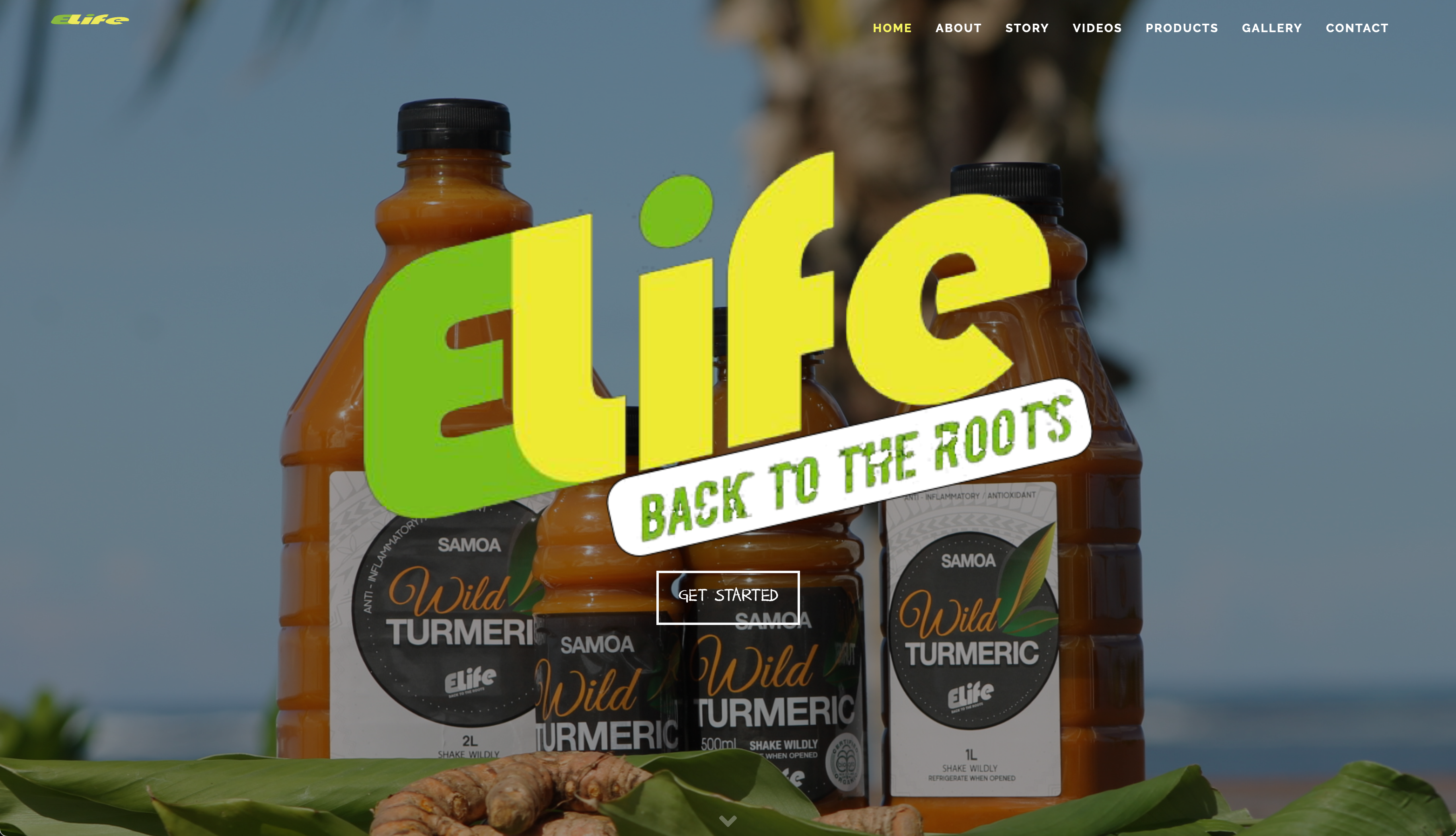 Visual Design Elements